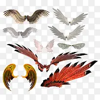 翅膀合集-空若网 翅膀合集-空若网