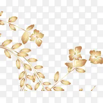 ��ɫ����-������