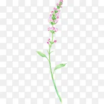 紫色水彩小花束-空若网 紫色水彩小花束-空若网