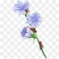 �ֻ滨��-������