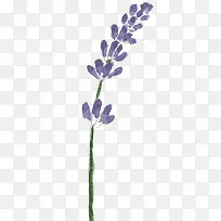 �ֻ���ɫ��-������