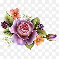 彩色鲜花-空若网 彩色鲜花-空若网