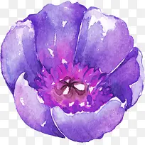 水彩花卉-空若网 水彩花卉-空若网