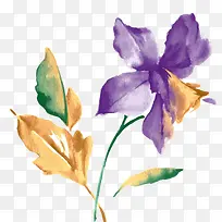 手绘花-空若网 手绘花-空若网