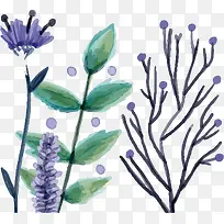 矢量卡通紫色水彩薰衣草-空若网 矢量卡通紫色水彩薰衣草-空若网
