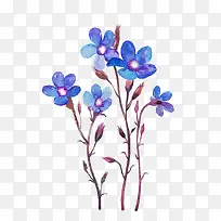 手绘花-空若网 手绘花-空若网