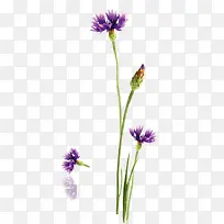 卡通手绘紫色花-空若网 卡通手绘紫色花-空若网