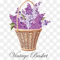 矢量薰衣草-空若网 矢量薰衣草-空若网