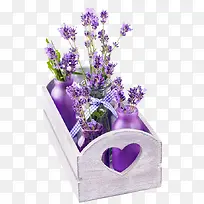 ��ɫ޹�²�-������