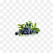 葡萄-空若网 葡萄-空若网