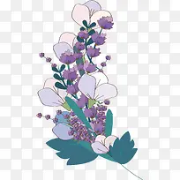 ������ɫ޹�²�-������