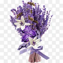 紫色薰衣草-空若网 紫色薰衣草-空若网