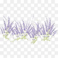 ʸÁ¿Þ¹Ò²Ý-¿ÕÈôÍø ʸÁ¿Þ¹Ò²Ý-¿ÕÈôÍø