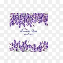 矢量紫色薰衣草-空若网 矢量紫色薰衣草-空若网