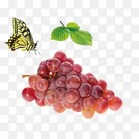 水果-空若网 水果-空若网