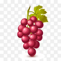 �ֻ�����-������