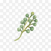 ˮ��ֲ��-������