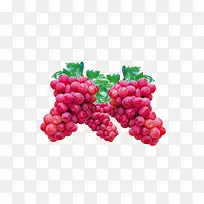 卡通葡萄-空若网 卡通葡萄-空若网