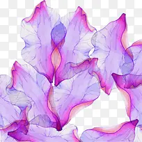 漂浮紫色水彩花卉-空若网 漂浮紫色水彩花卉-空若网
