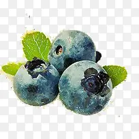 水果-空若网 水果-空若网