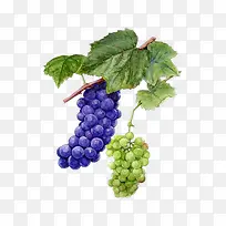 �ֻ�����-������