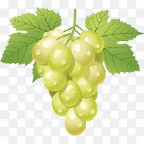 葡萄-空若网 葡萄-空若网