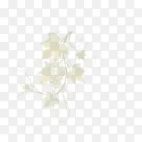 �ֻ�����-������