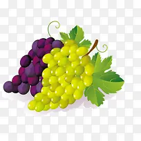 手绘葡萄-空若网 手绘葡萄-空若网