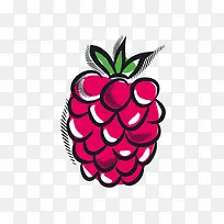 葡萄卡通矢量素材-空若网 葡萄卡通矢量素材-空若网