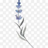 �ֻ�ֲ��-������