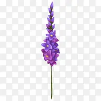 ¿¨Í¨Ö²Îï×Ïɫ޹Ò²Ý-¿ÕÈôÍø ¿¨Í¨Ö²Îï×Ïɫ޹Ò²Ý-¿ÕÈôÍø