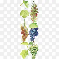 ˮ������-������