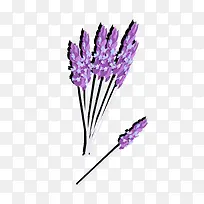 ޹�²ݻ���ʸ��-������