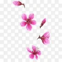 紫色水彩花朵-空若网 紫色水彩花朵-空若网