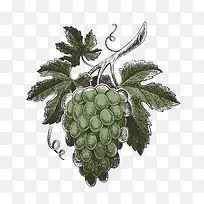 水果-空若网 水果-空若网