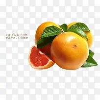 ����������ز�����ز�-������