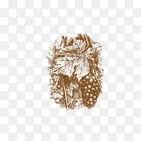 手绘葡萄藤-空若网 手绘葡萄藤-空若网