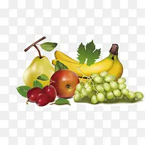 矢量水果素材-空若网 矢量水果素材-空若网