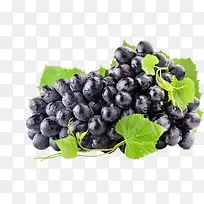 新鲜采摘葡萄水果-空若网 新鲜采摘葡萄水果-空若网