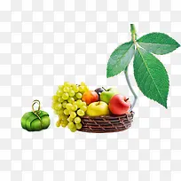 ˮ������Ҷ-������