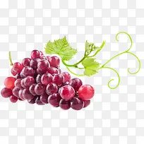 ˮ��-������