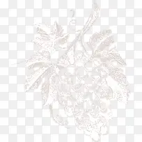 手绘葡萄复古插画-空若网 手绘葡萄复古插画-空若网