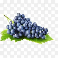 紫色新鲜水果葡萄-空若网 紫色新鲜水果葡萄-空若网