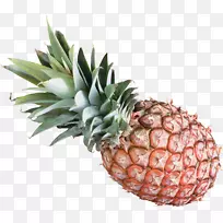 菠萝果实-菠萝-空若网 菠萝果实-菠萝-空若网