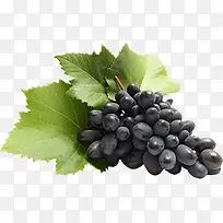 ��ɫ��������ˮ��-������