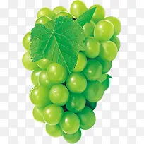 ��ɫ����ˮ������-������