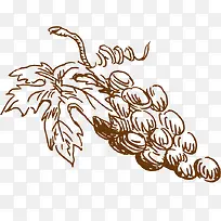 �ֻ�ŵ����Ѵ���-������