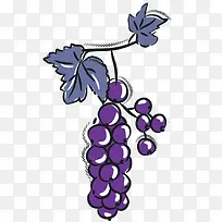 矢量水果俯视紫色手绘葡萄-空若网 矢量水果俯视紫色手绘葡萄-空若网