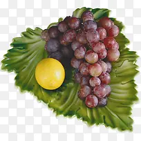 葡萄柠檬水果植物-空若网 葡萄柠檬水果植物-空若网