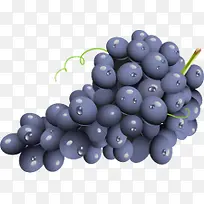 卡通葡萄水果背景-空若网 卡通葡萄水果背景-空若网